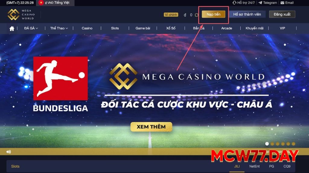 Nạp Tiền MCW77